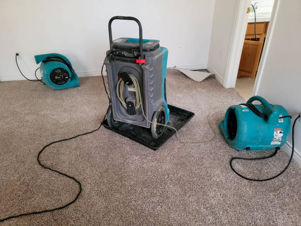 Best Professional water damage repair  in Pikesville, MD