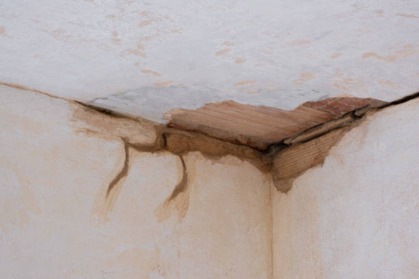Best Flood damage cleanup  in Pikesville, MD