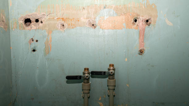 Best Basement water damage restoration  in Pikesville, MD