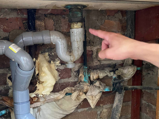 Carpet water damage restoration in MD