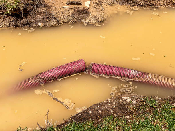 Best Residential water damage restoration  in Pikesville, MD