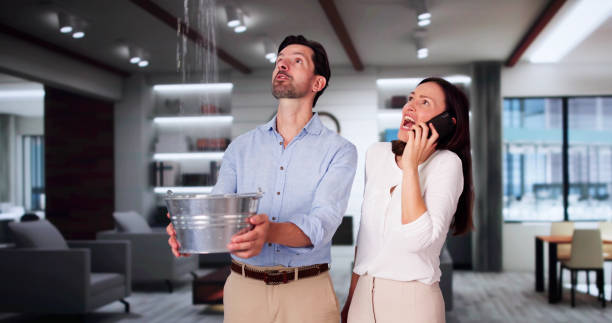 Best 24-hour water damage restoration  in Pikesville, MD