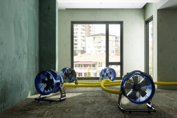 Best Water damage contractors near me  in Pikesville, MD